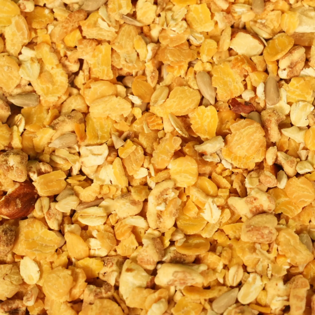 biozentrale Proteinmüsli Pur