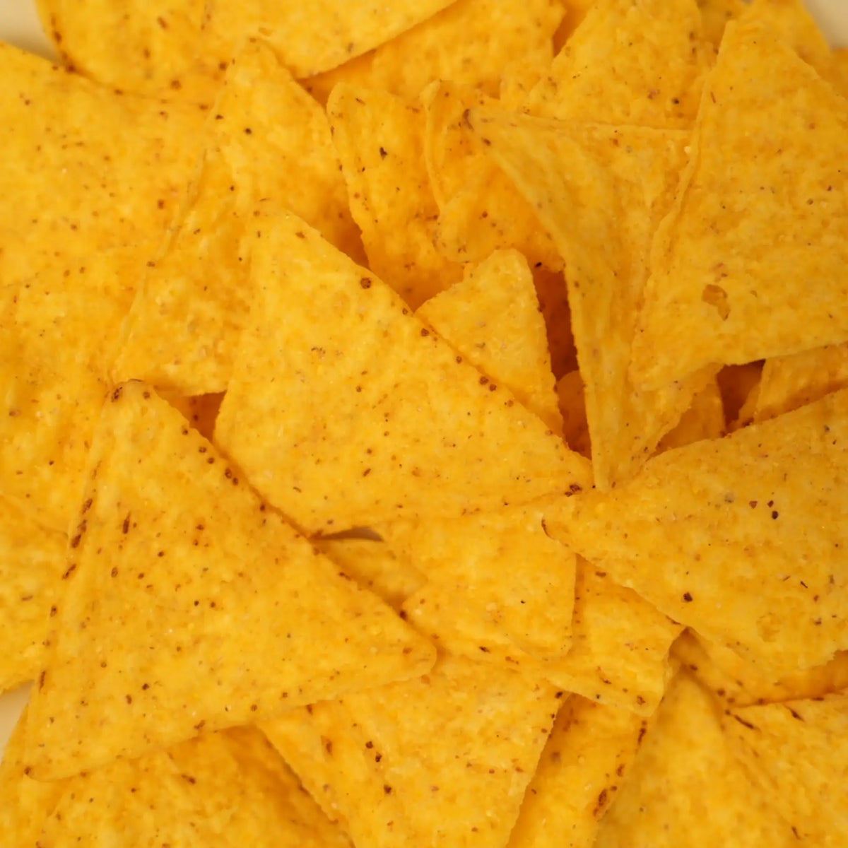 biozentrale Tortilla Chips Meersalz