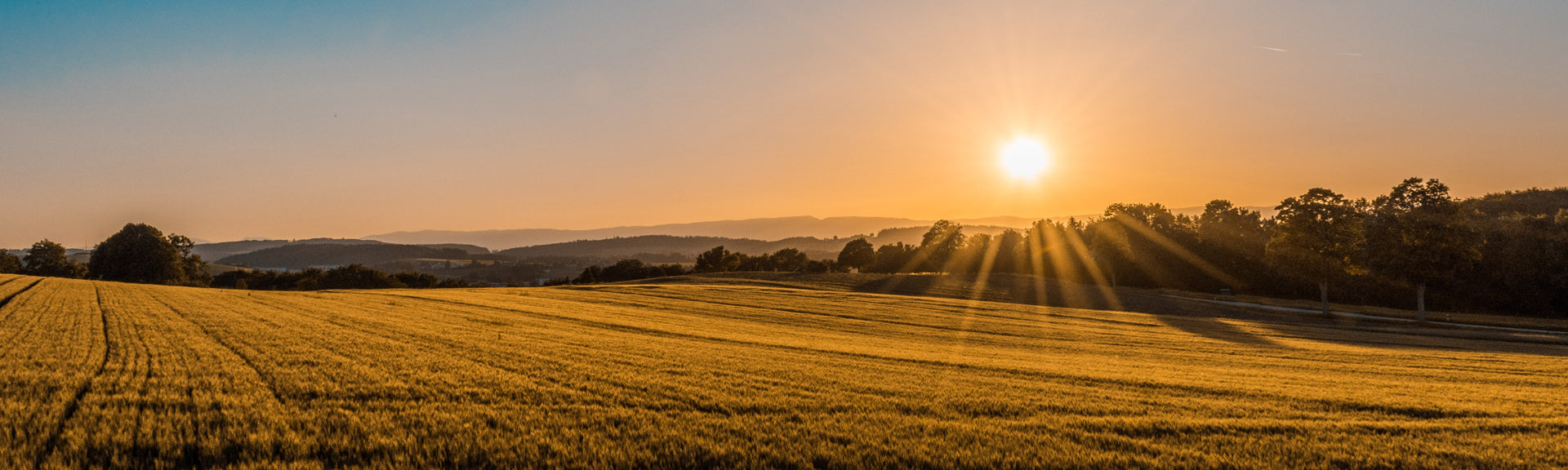 Feld bei Sonnenuntergang, Desktop Banner